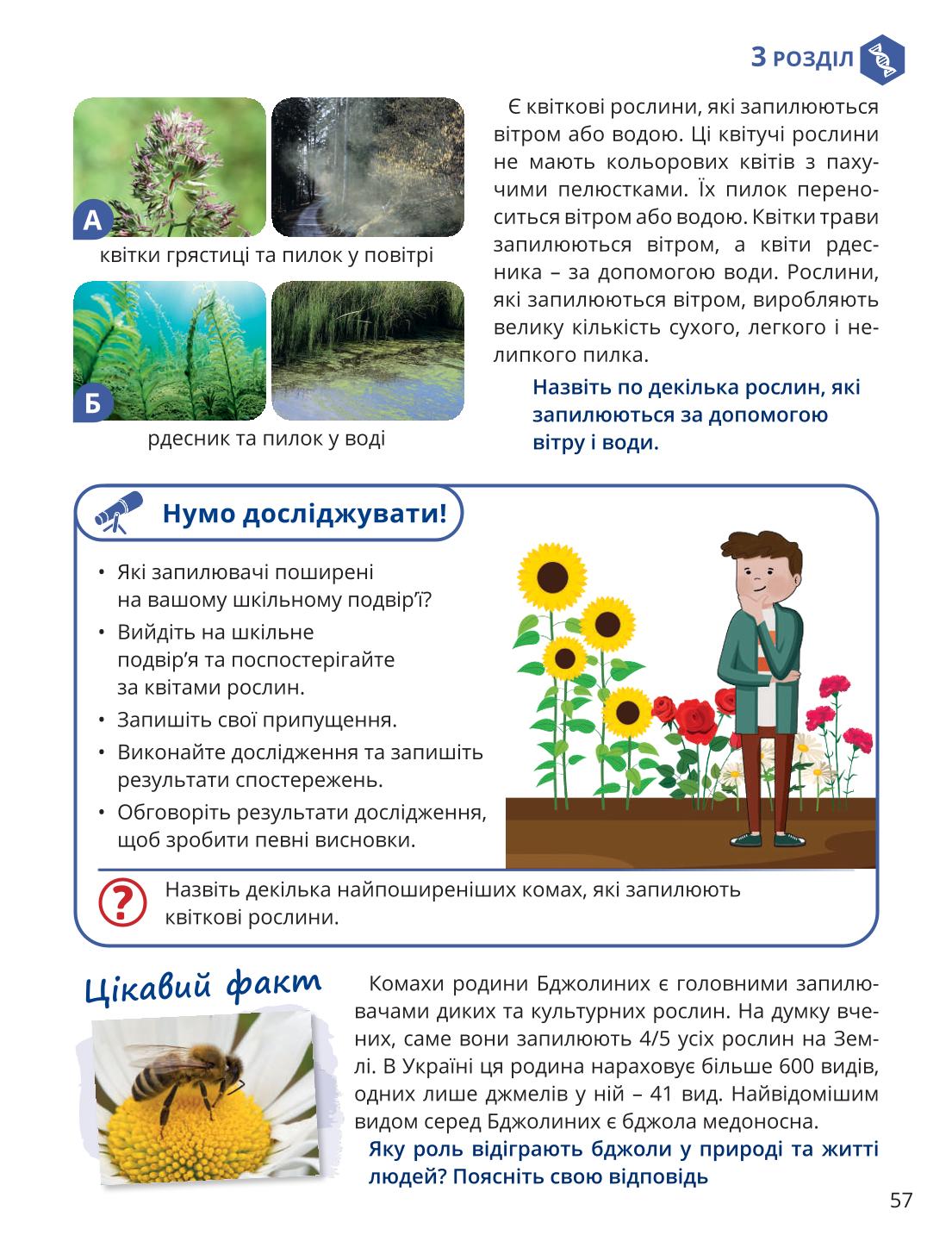 Мініатюра 57