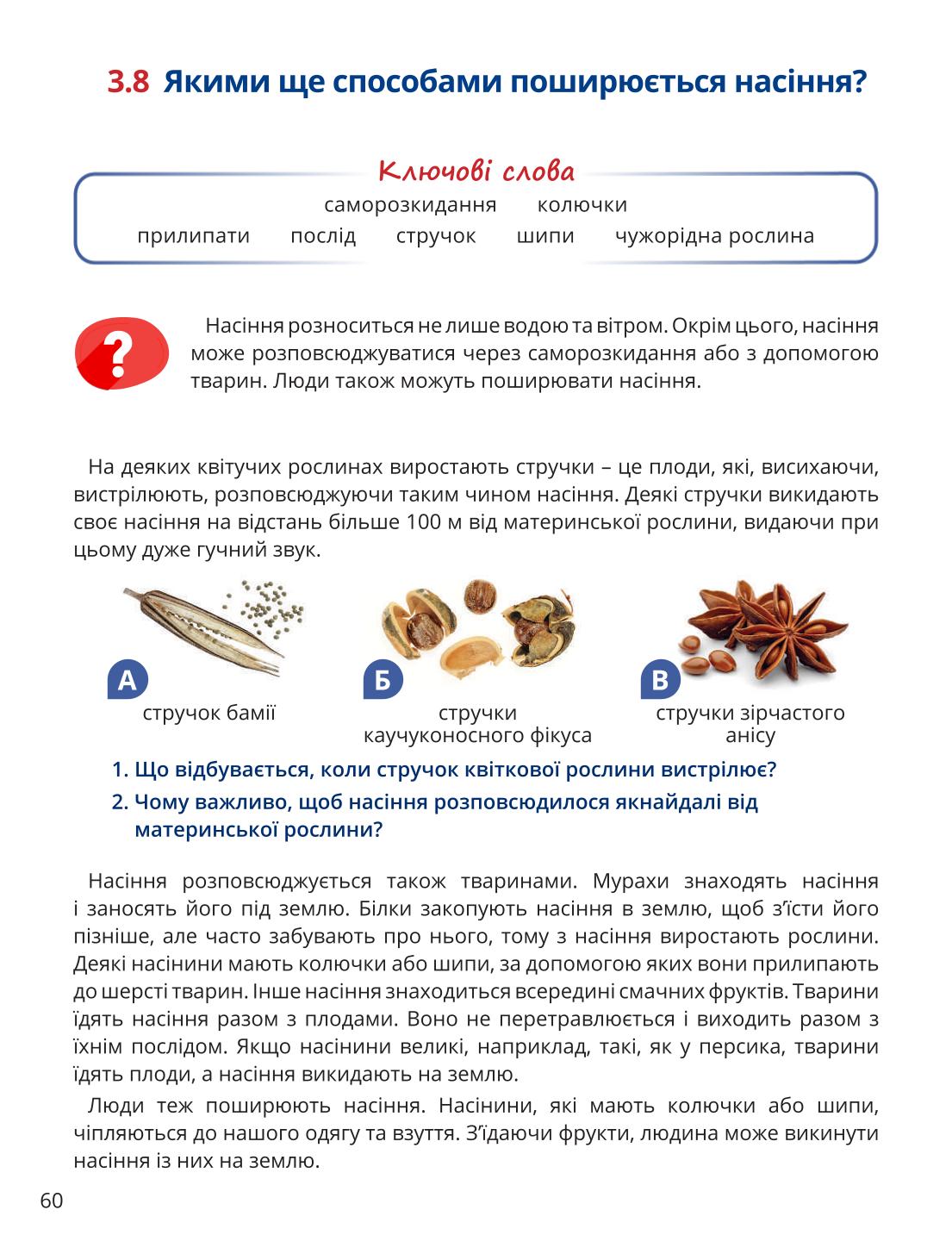 Мініатюра 60