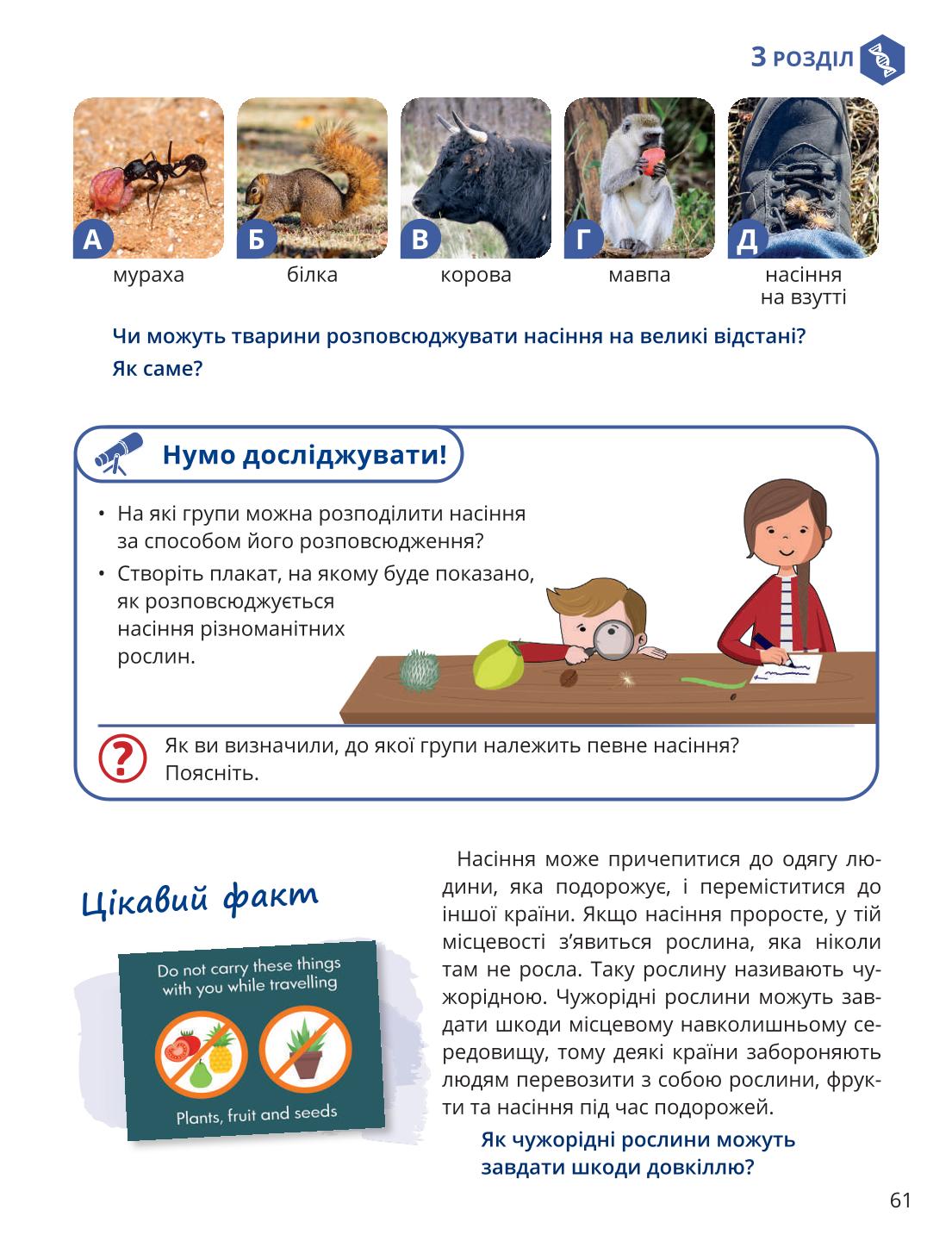 Мініатюра 61
