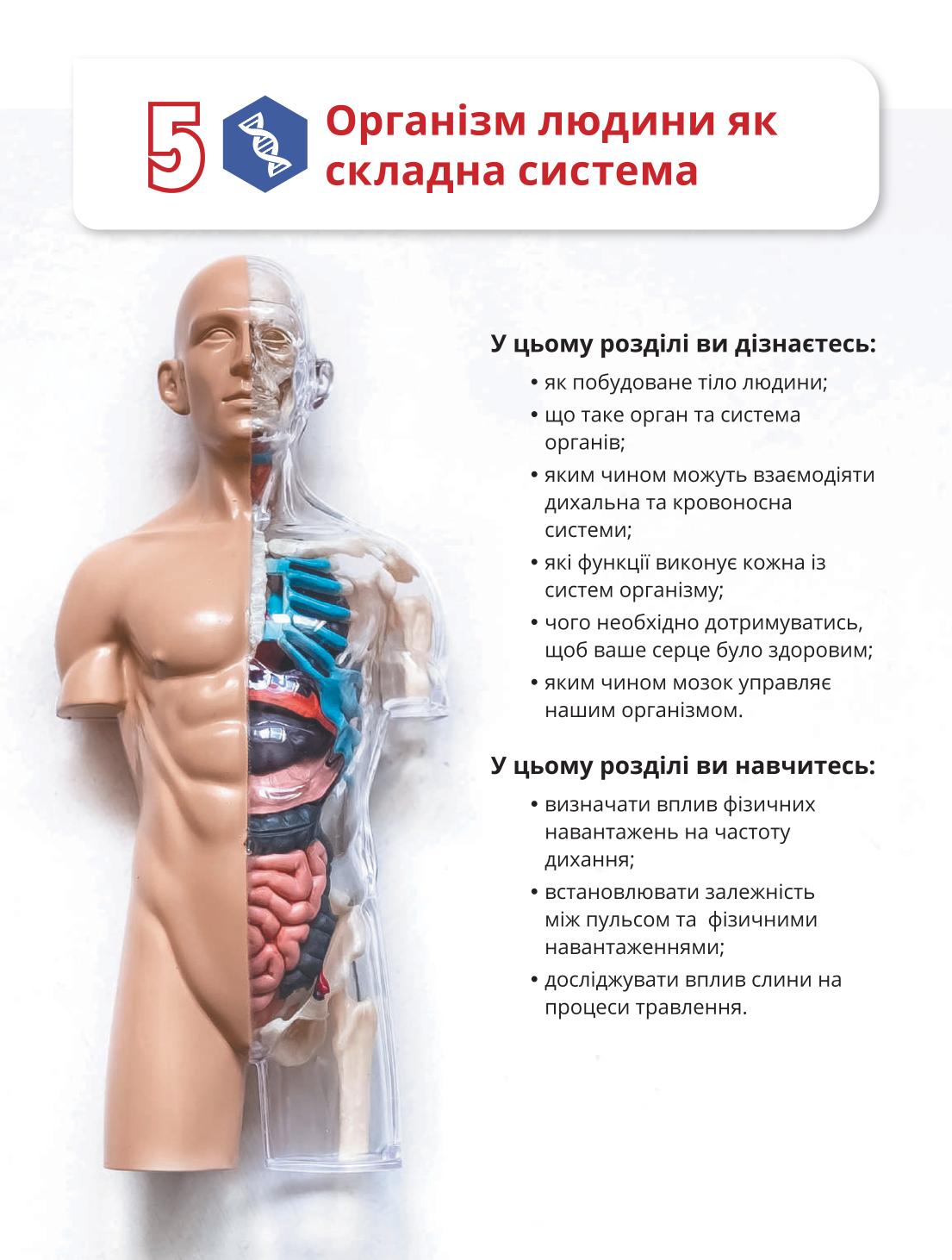 Мініатюра 80