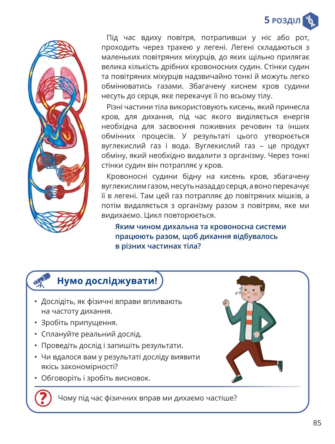 Мініатюра 85