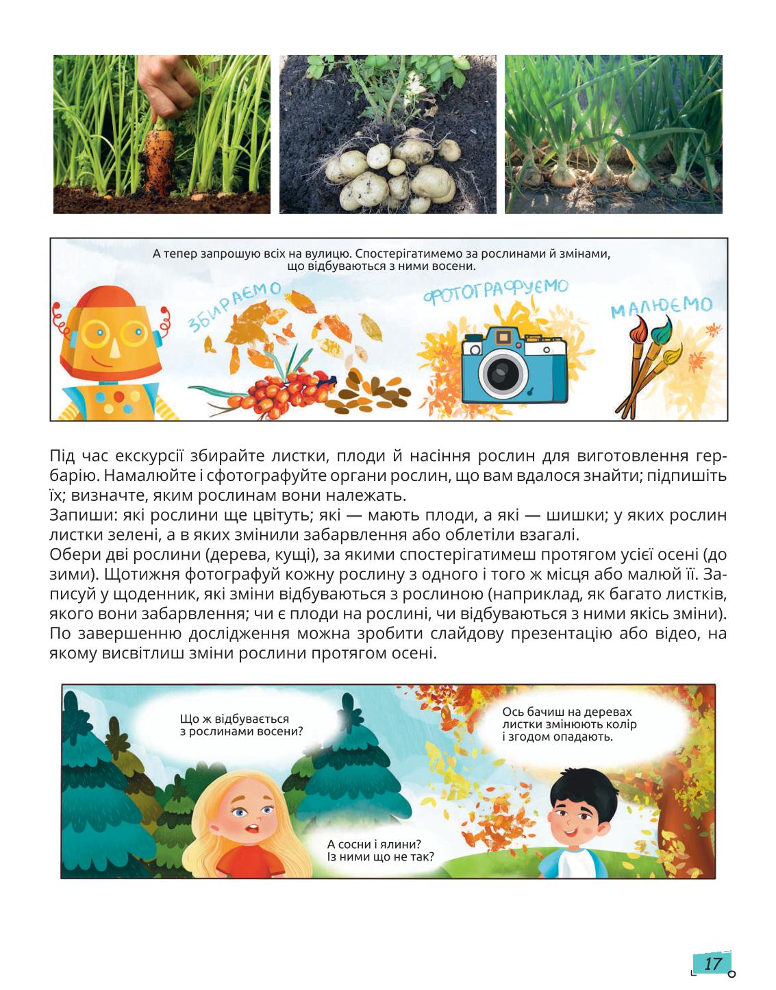 Мініатюра 17