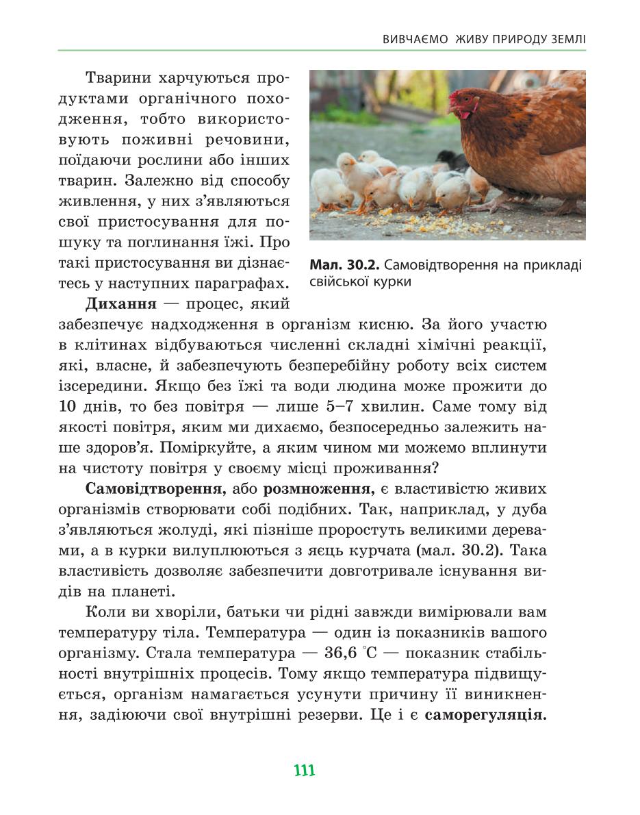 Мініатюра 111