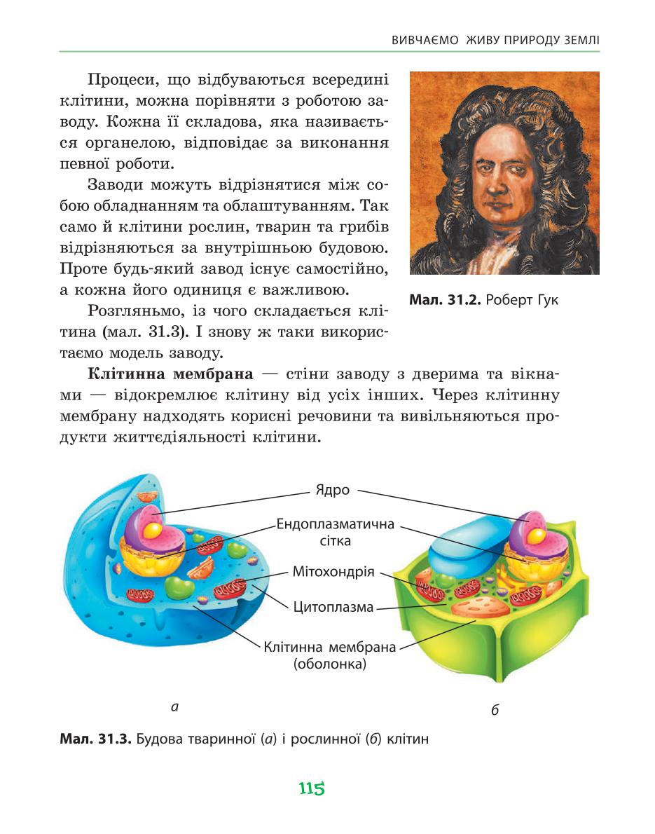 Мініатюра 115