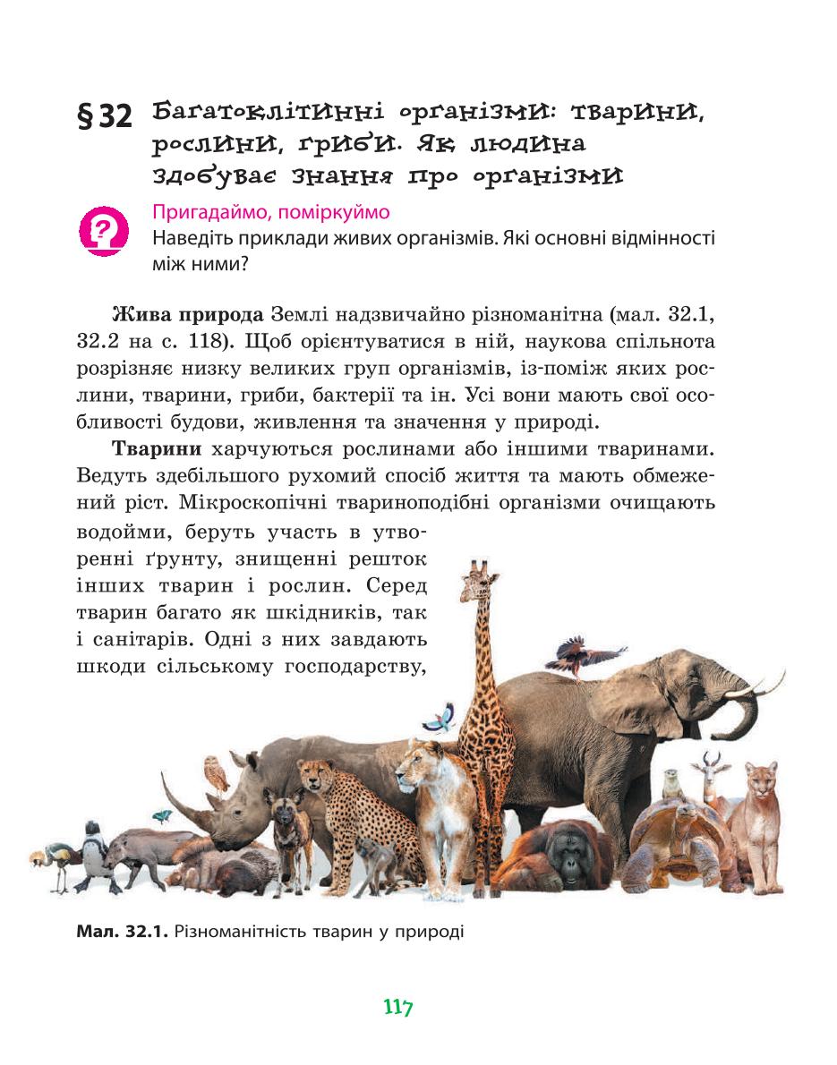 Мініатюра 117