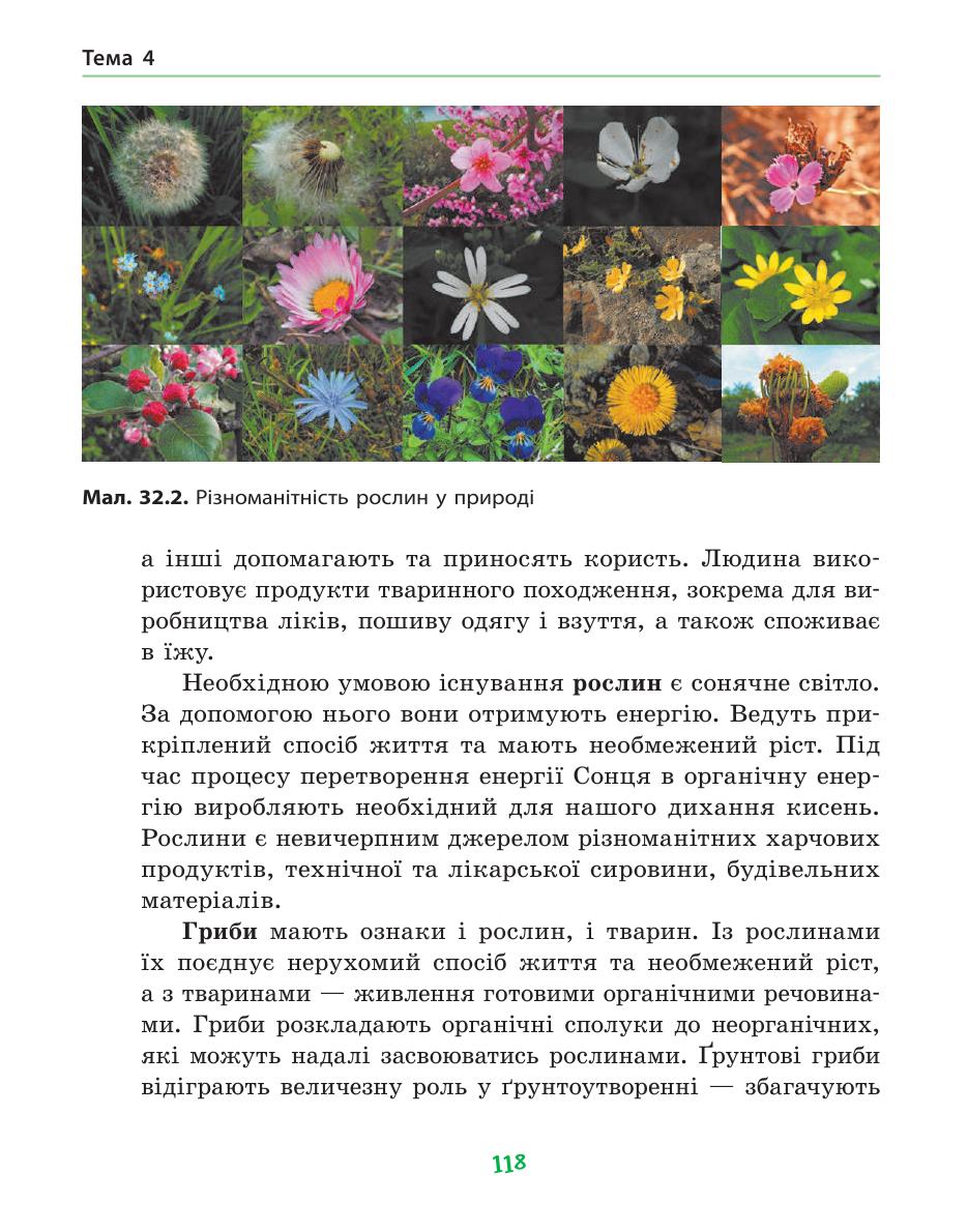 Мініатюра 118