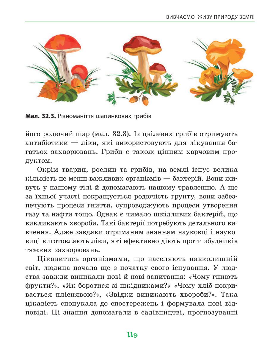 Мініатюра 119