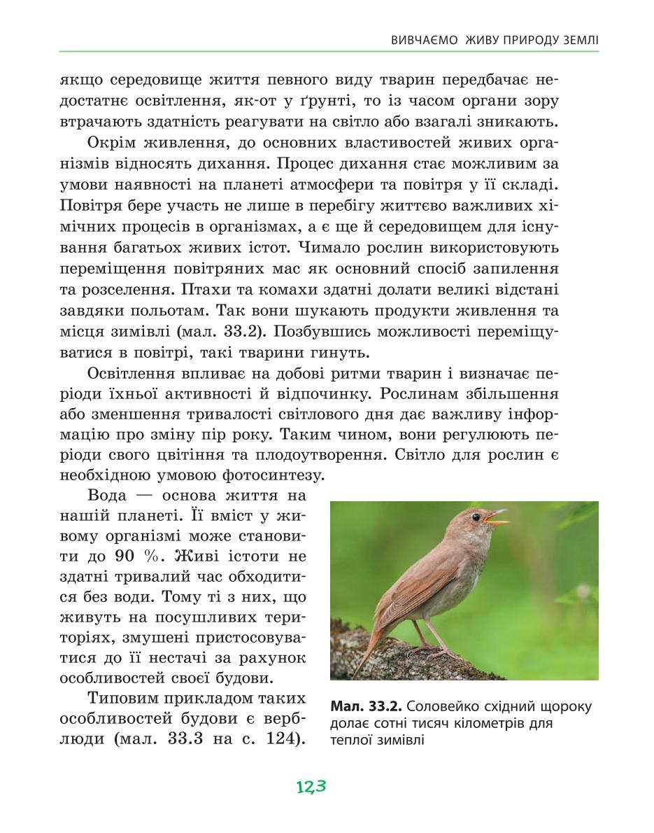 Мініатюра 123
