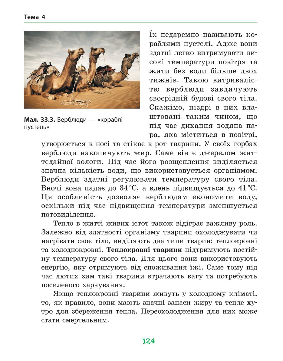Мініатюра 124