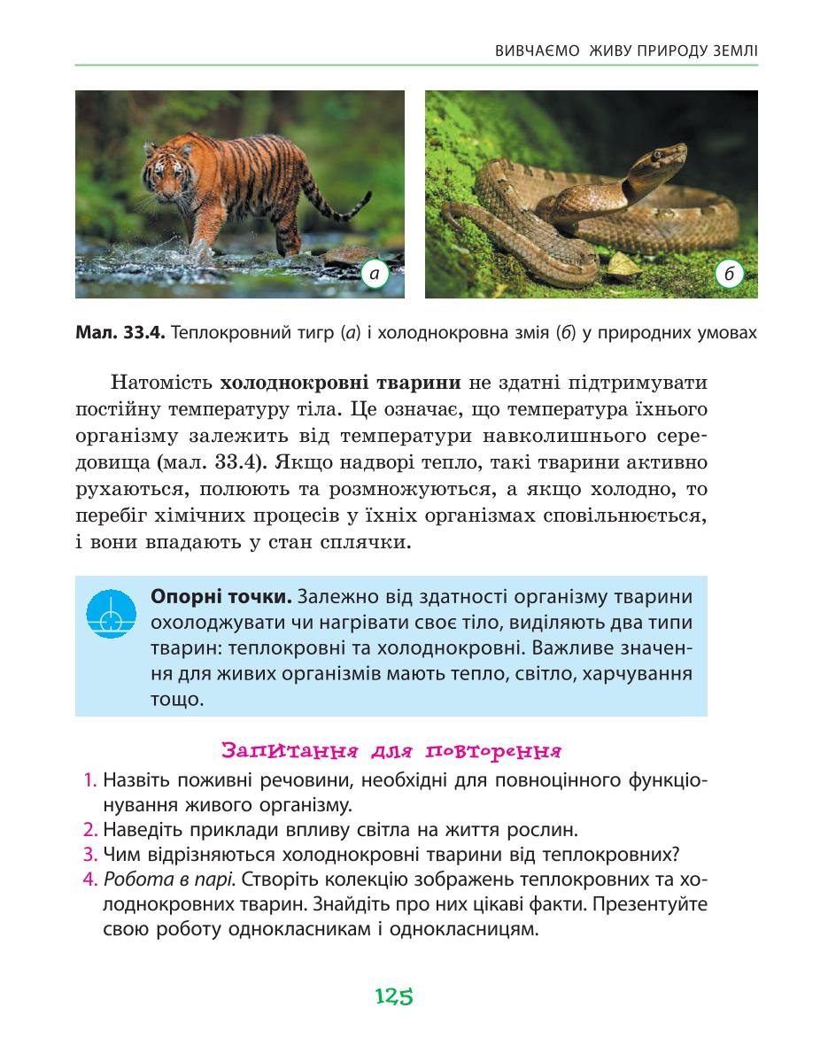 Мініатюра 125