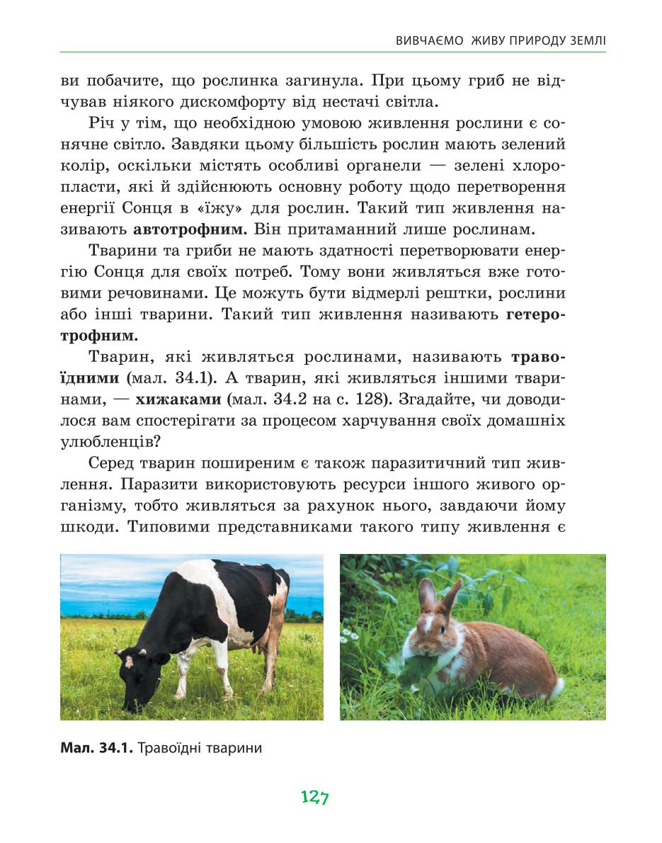 Мініатюра 127