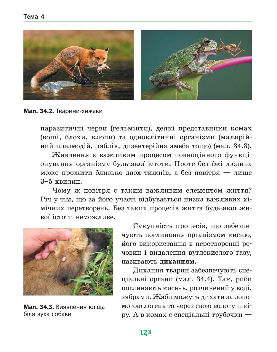 Мініатюра 128