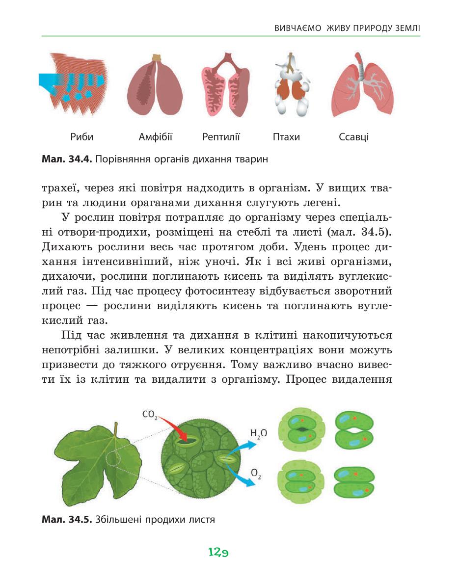 Мініатюра 129