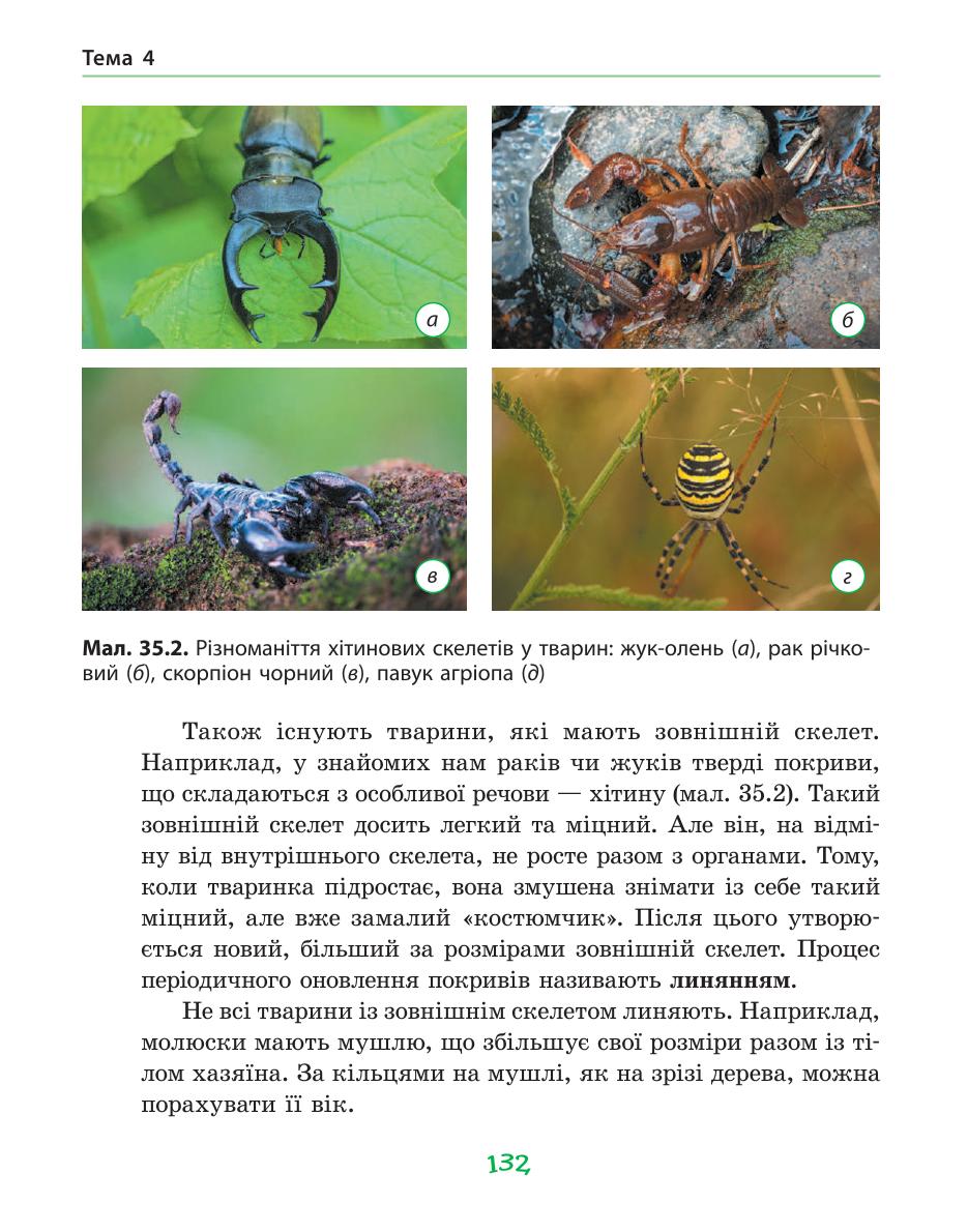 Мініатюра 132