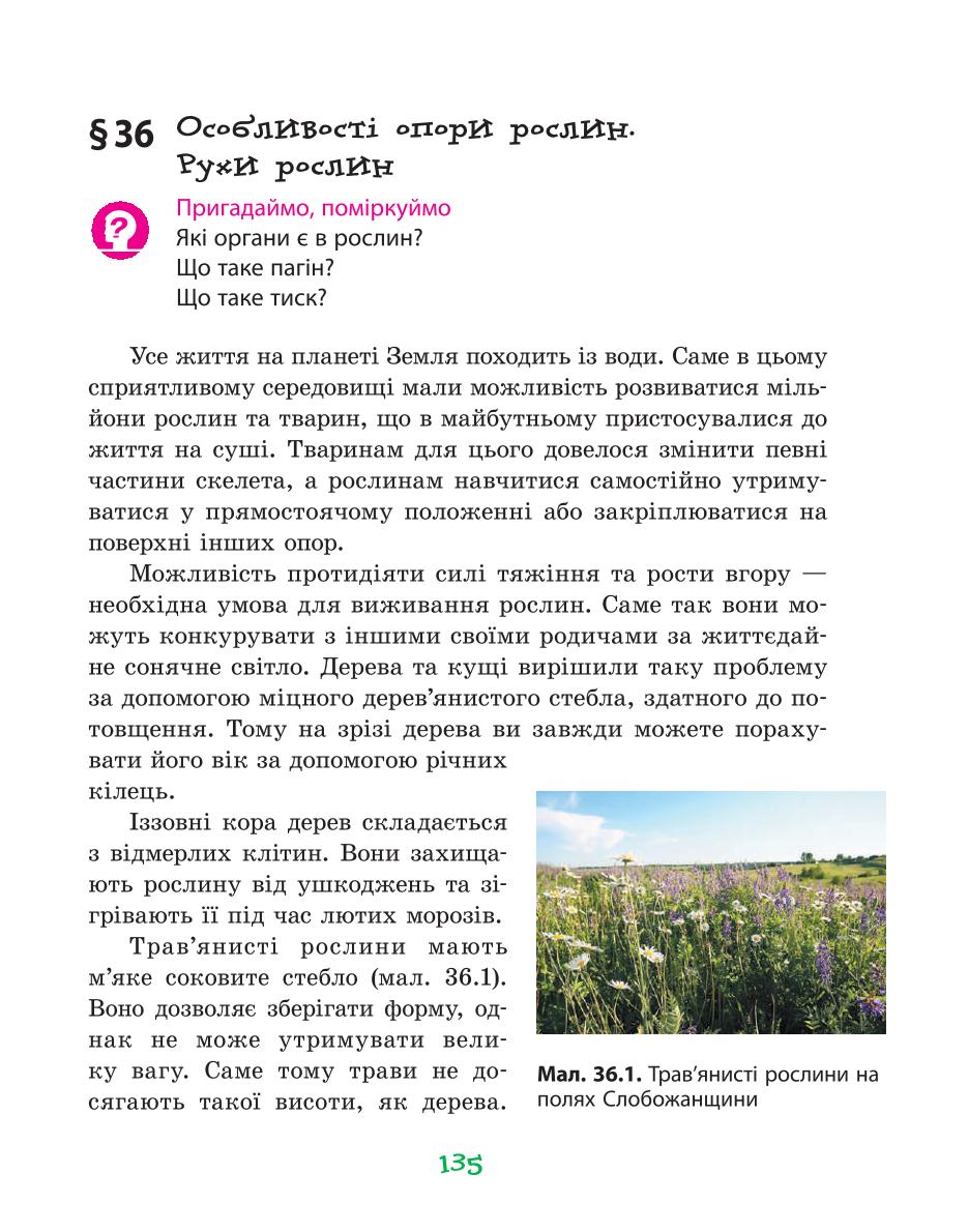 Мініатюра 135