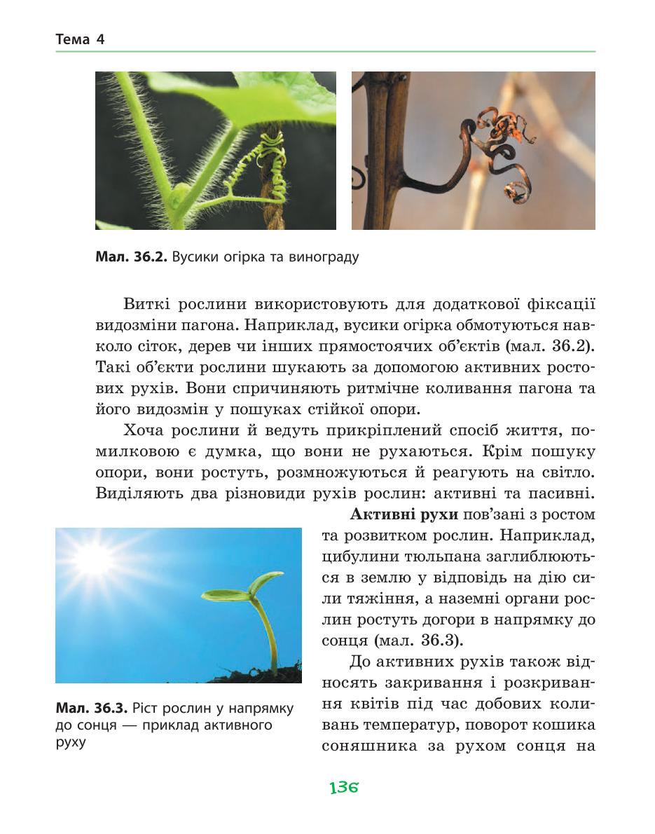 Мініатюра 136