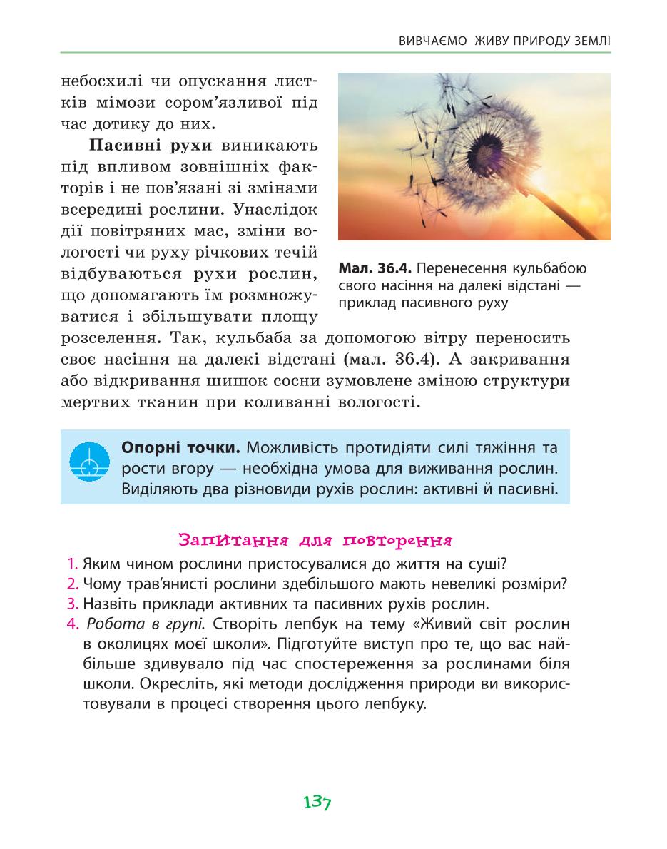 Мініатюра 137