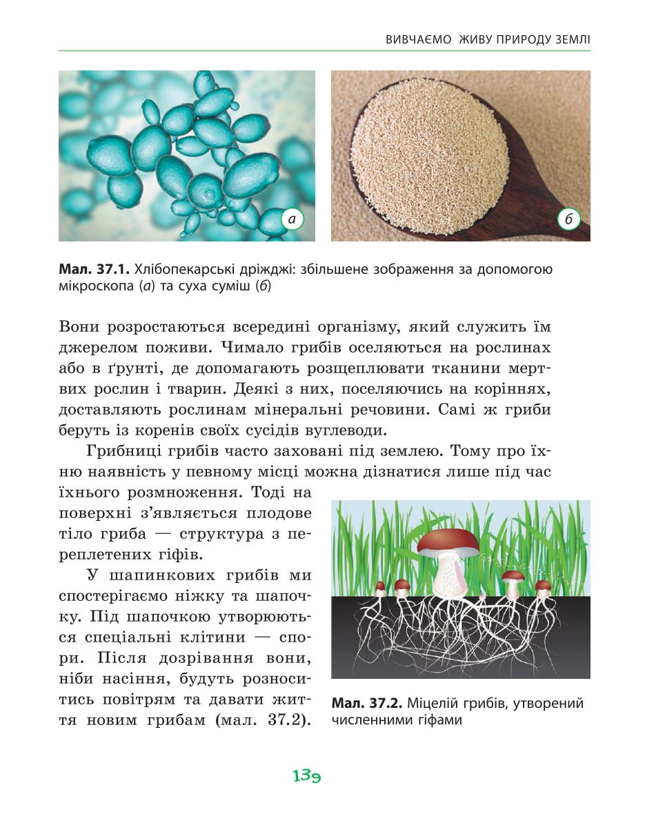 Мініатюра 139