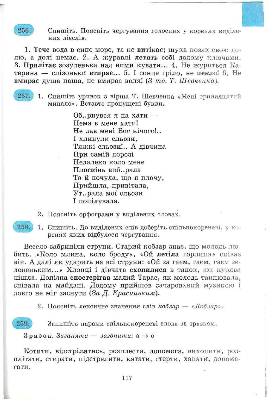 Мініатюра 117