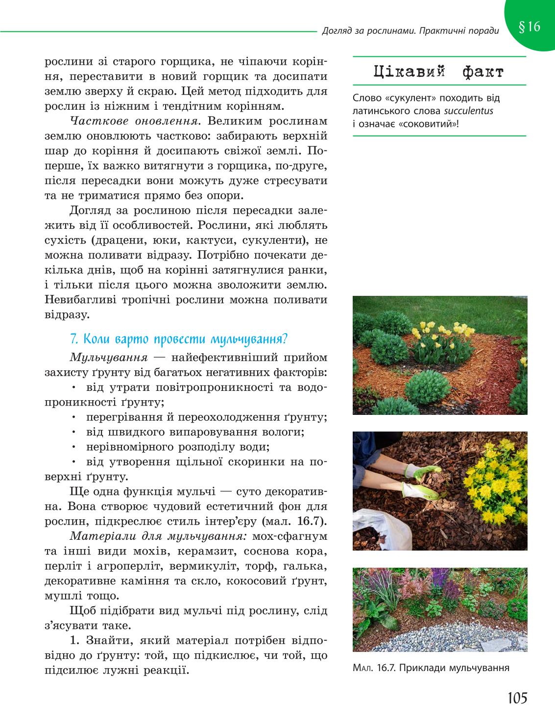 Мініатюра 105