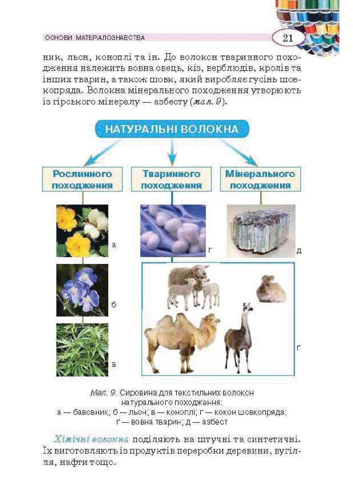 Мініатюра 21