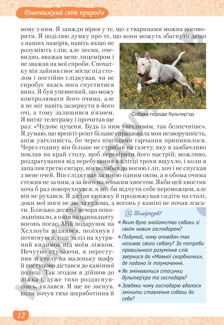 Мініатюра 12