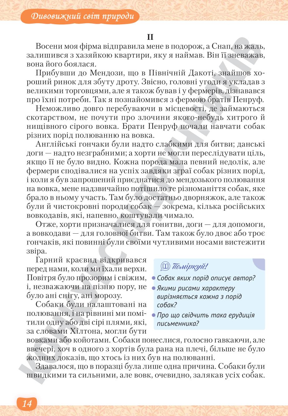 Мініатюра 14