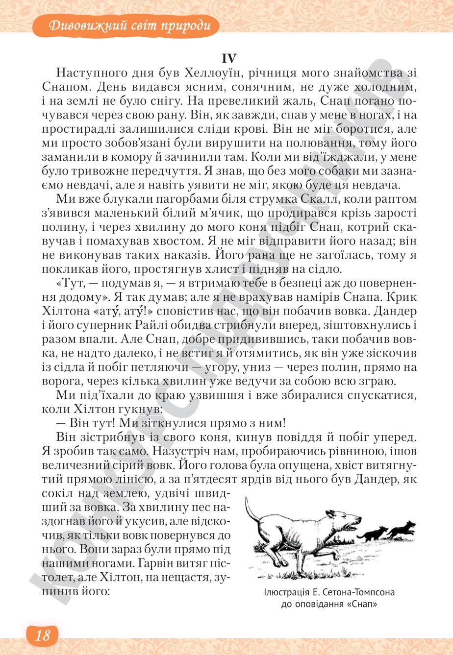 Мініатюра 18