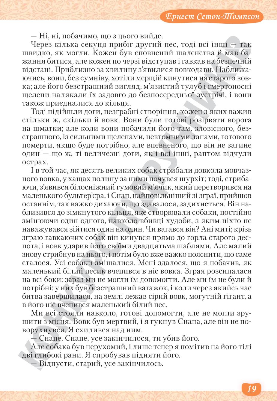 Мініатюра 19