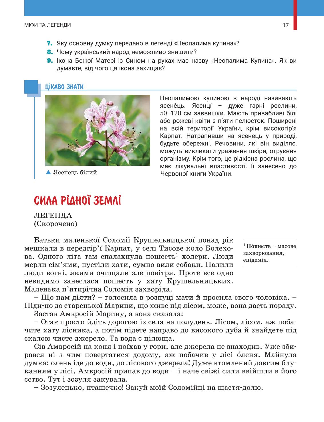 Мініатюра 17