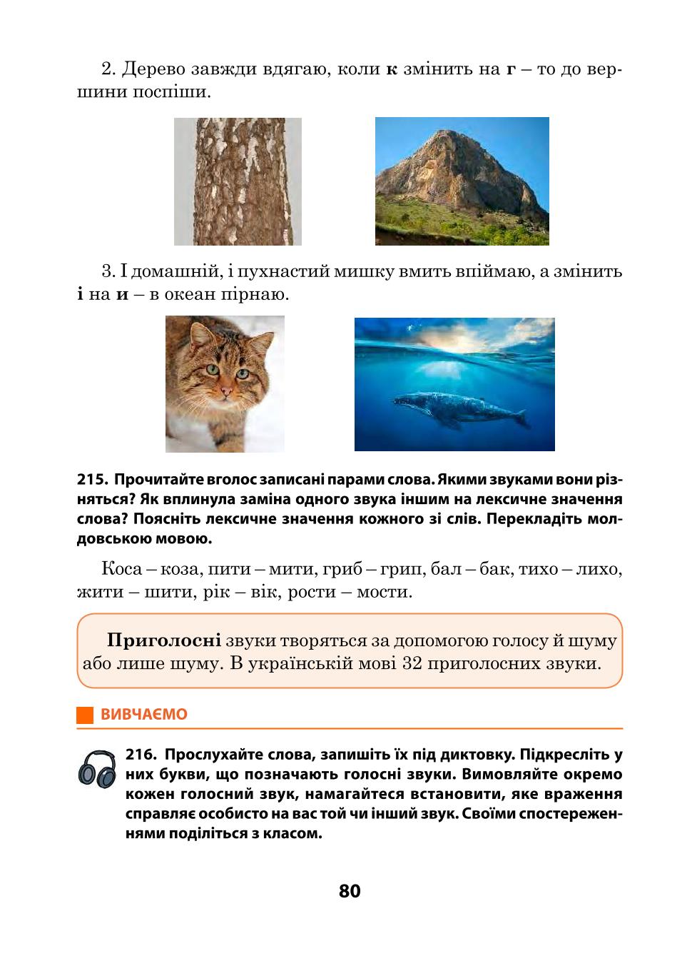 Мініатюра 80