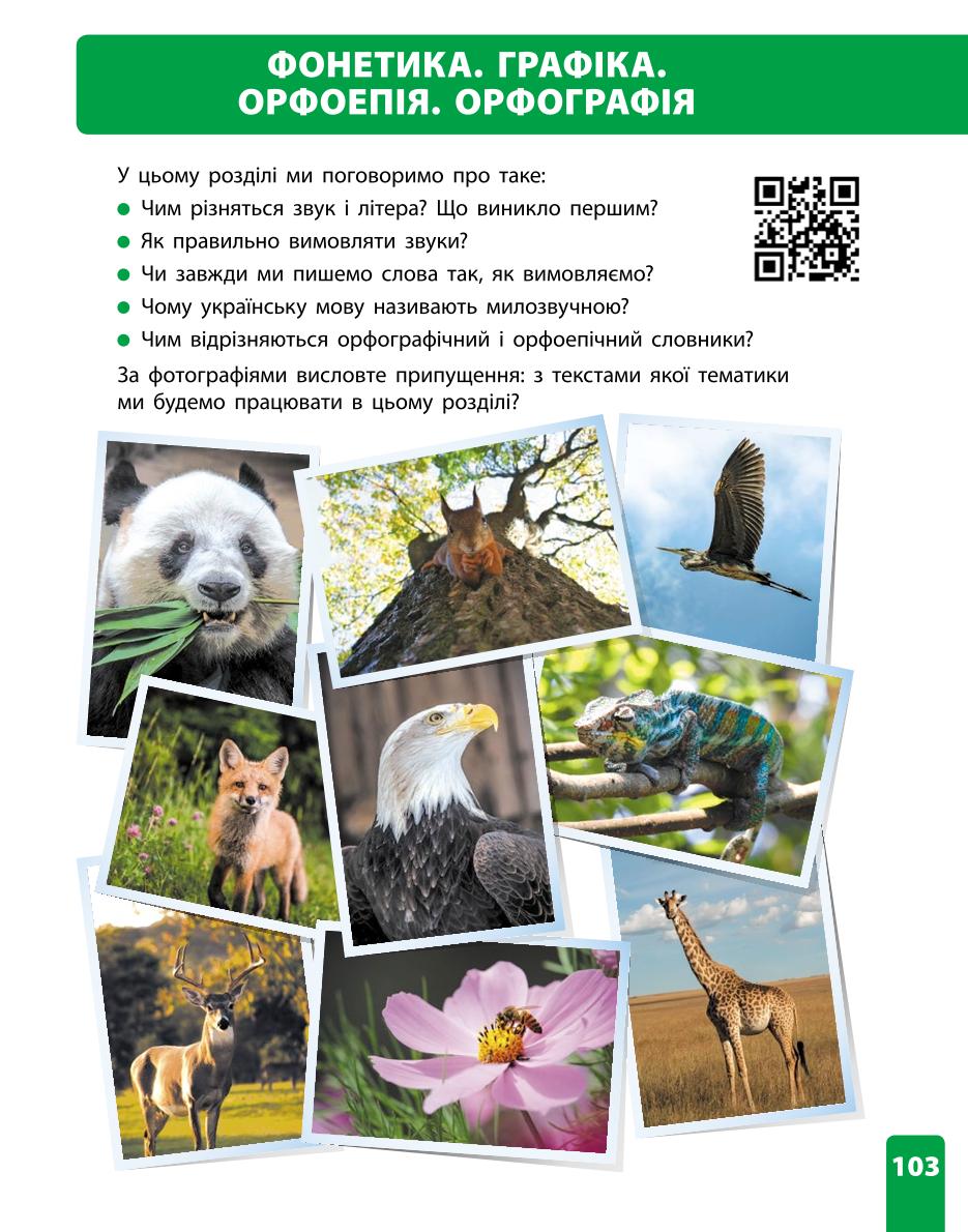 Мініатюра 103