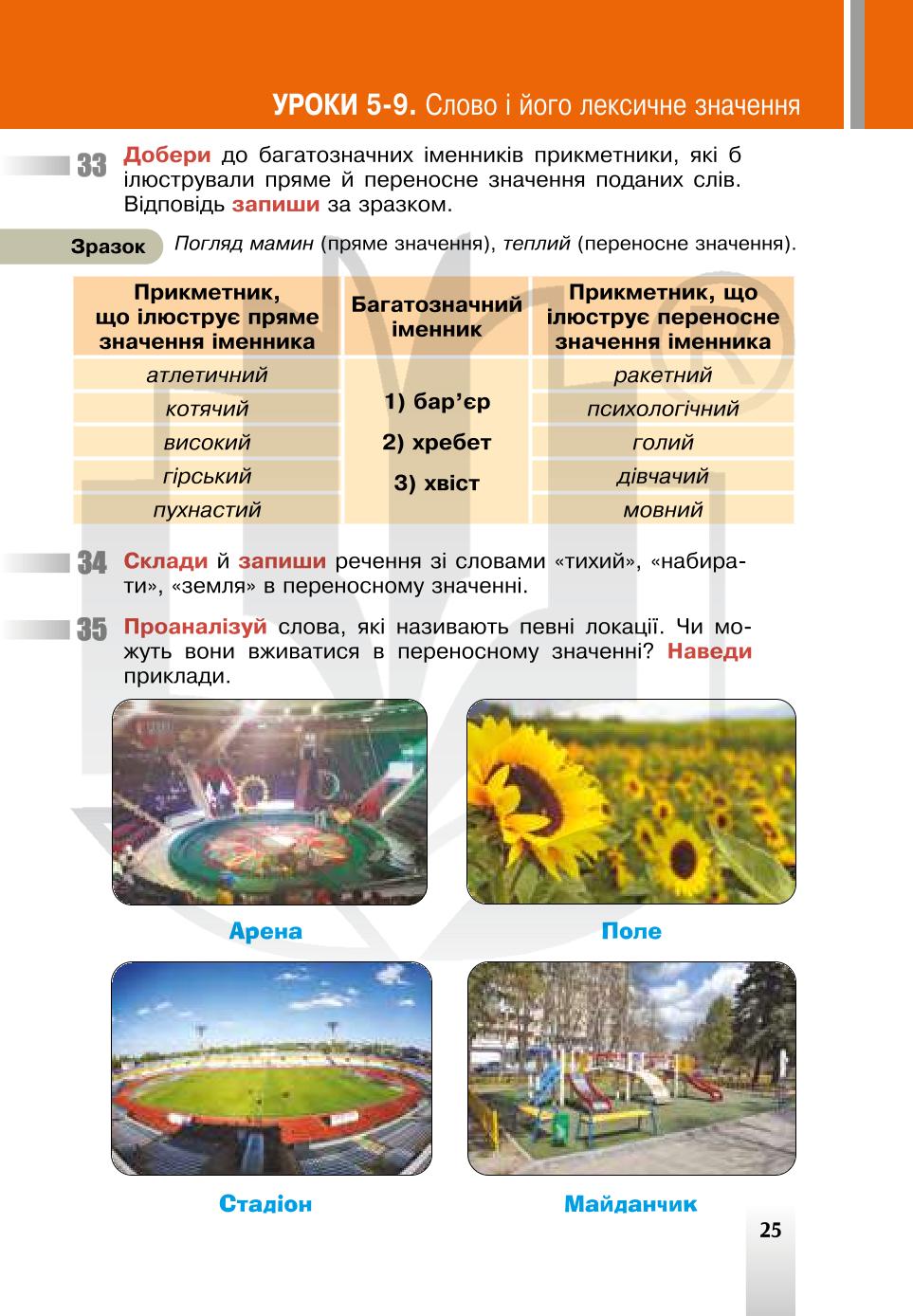 Мініатюра 25