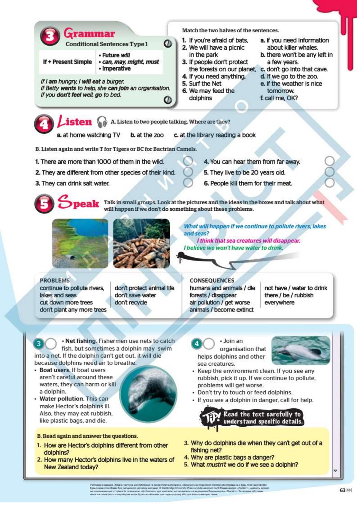 Мініатюра 63