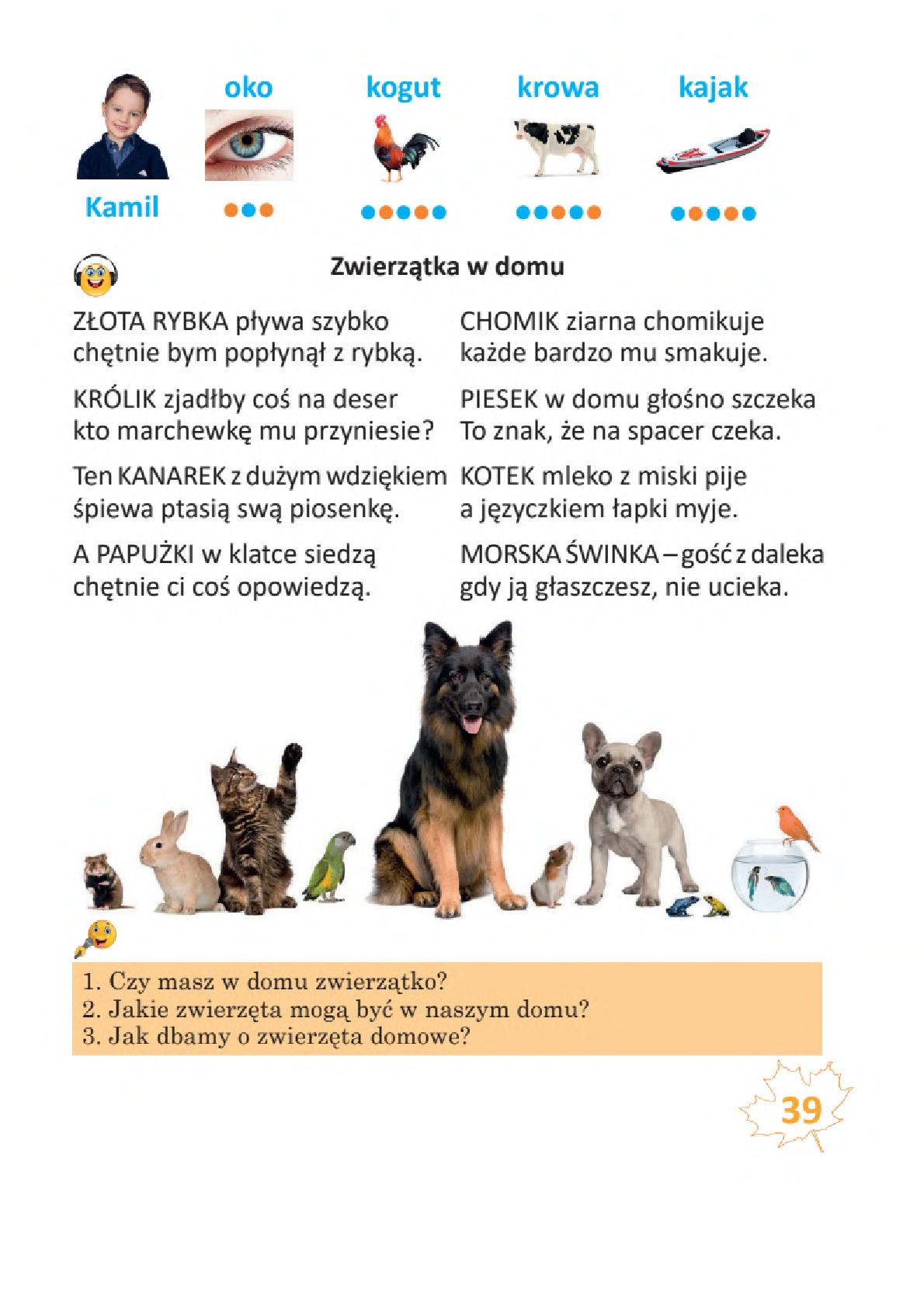 Мініатюра 39