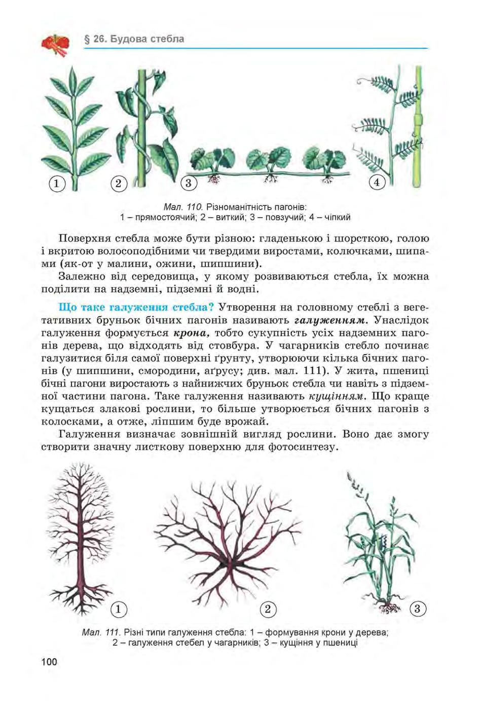 Мініатюра 100