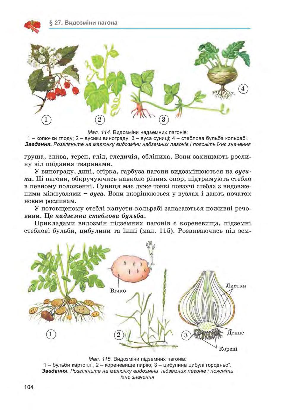 Мініатюра 104