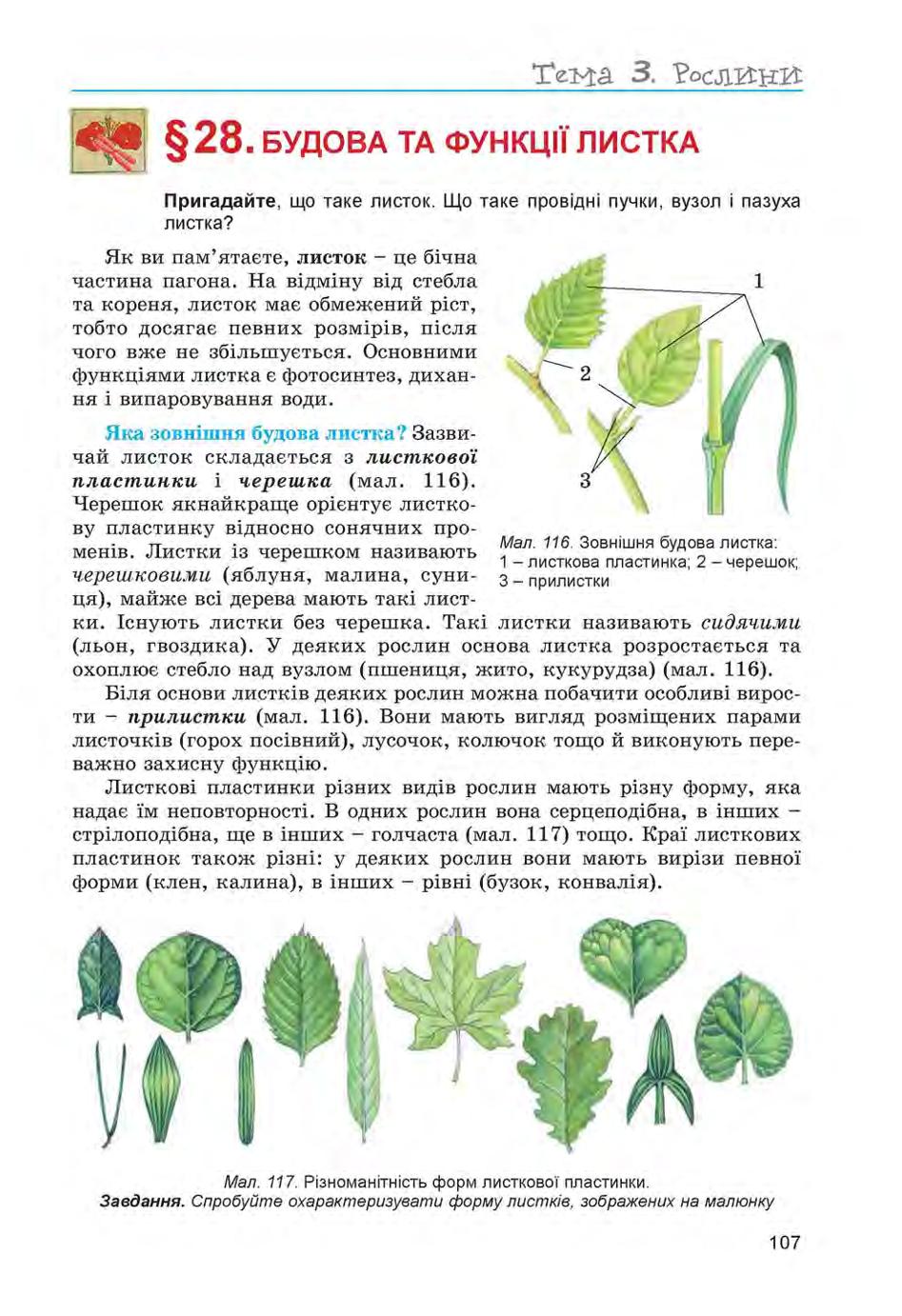 Мініатюра 107