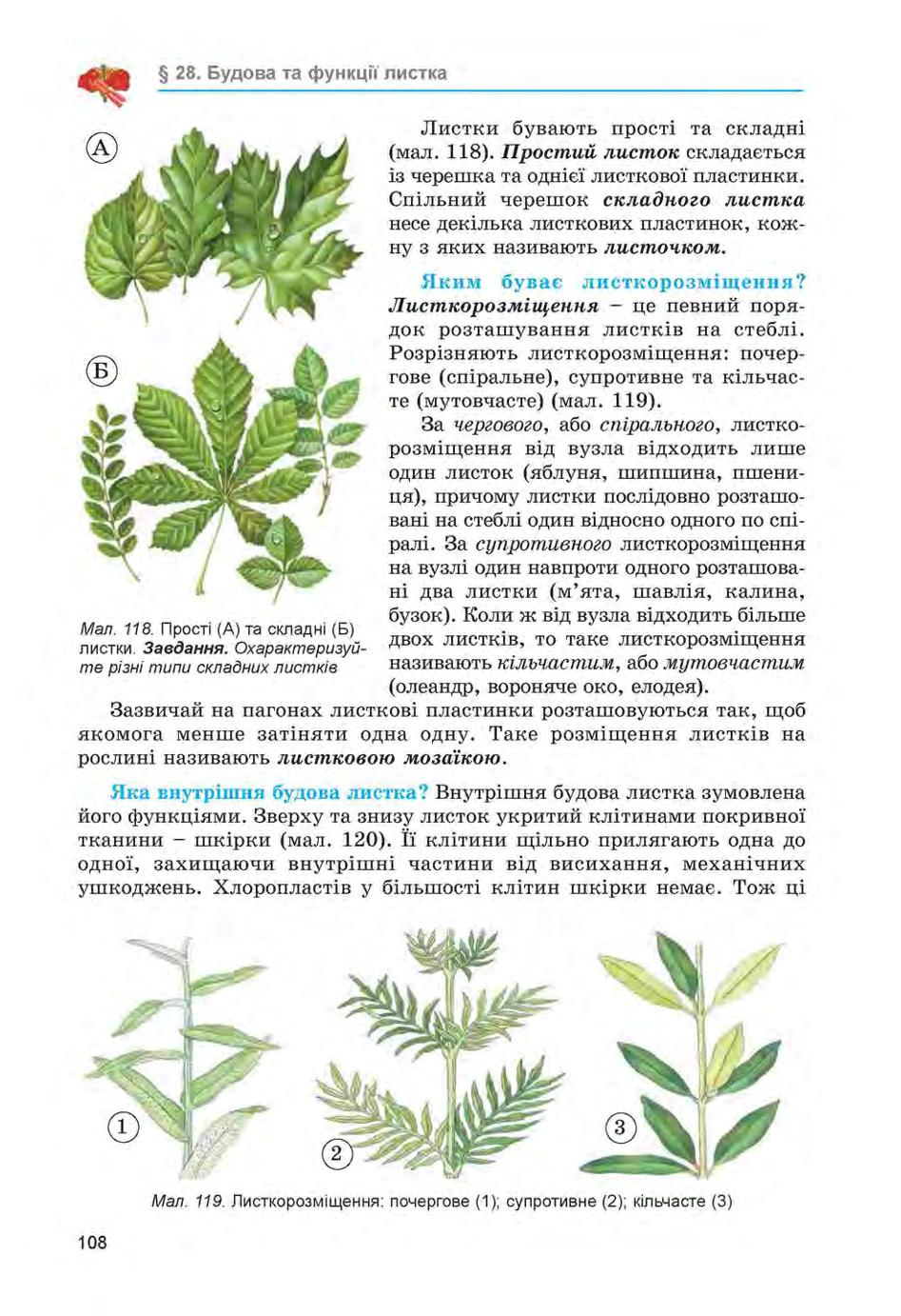 Мініатюра 108