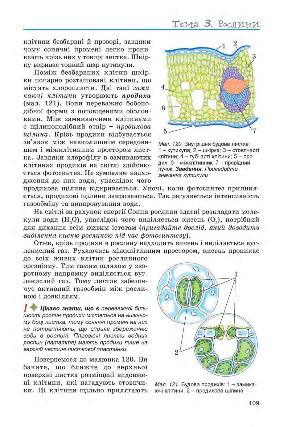 Мініатюра 109