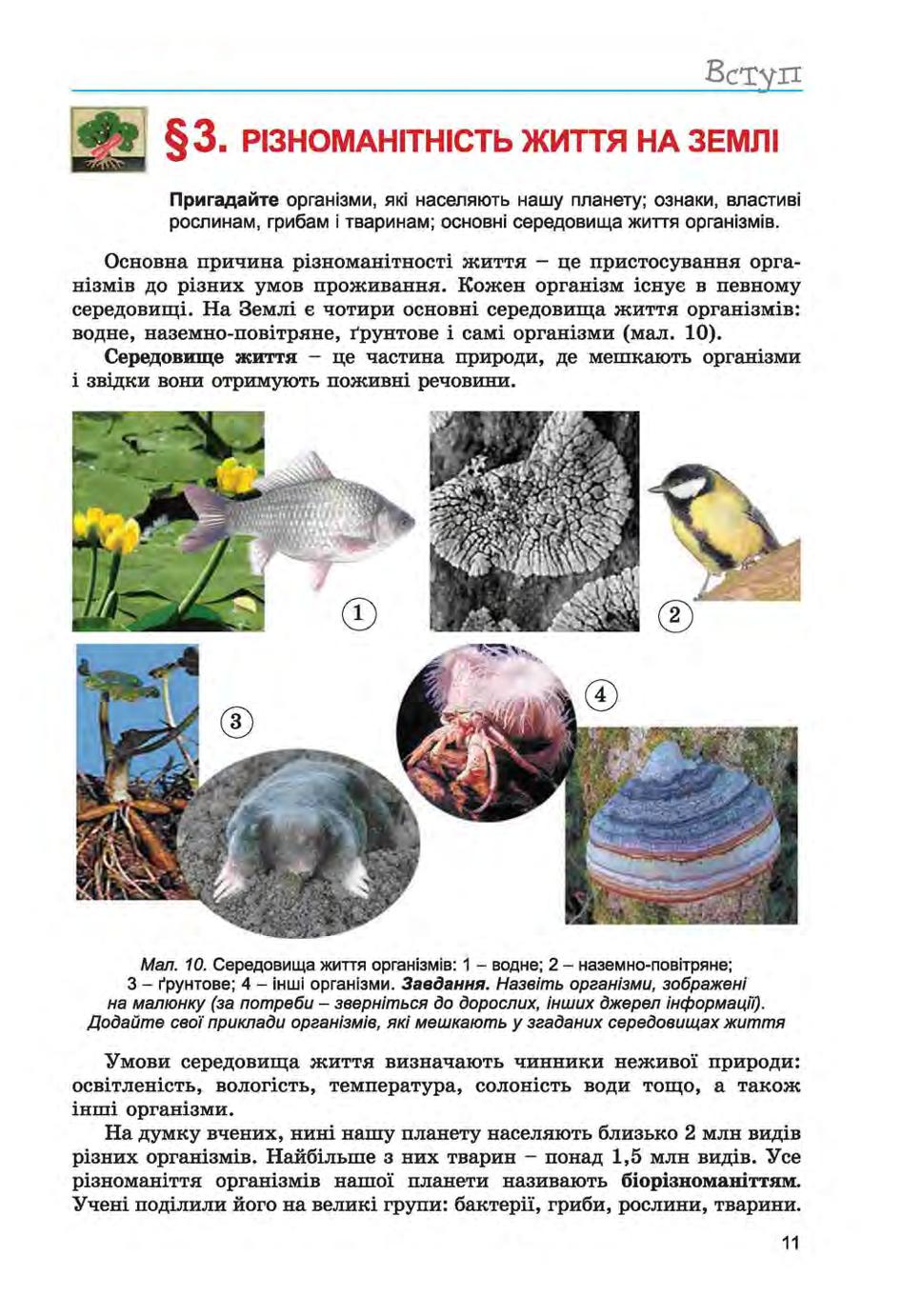 Мініатюра 11