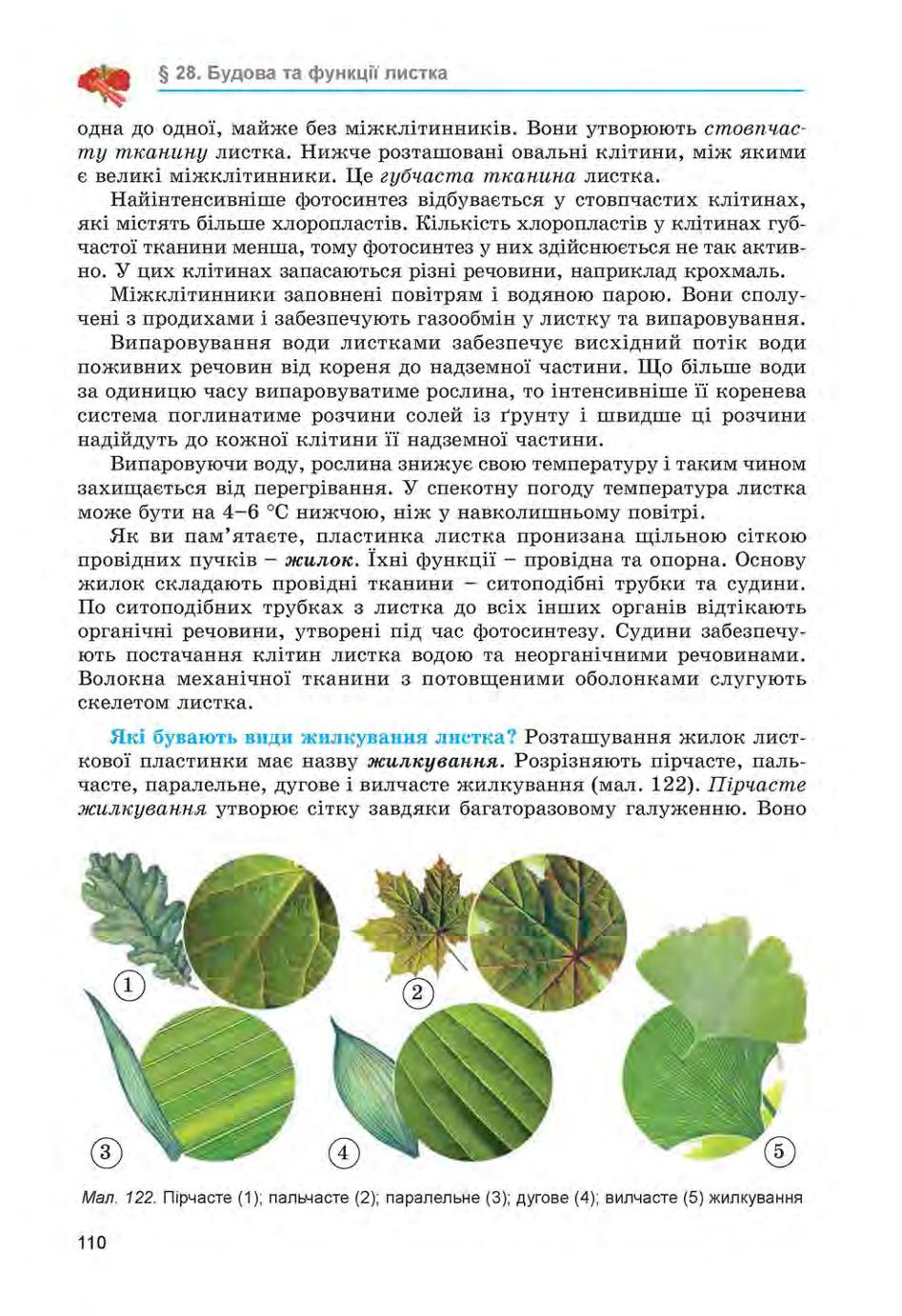 Мініатюра 110