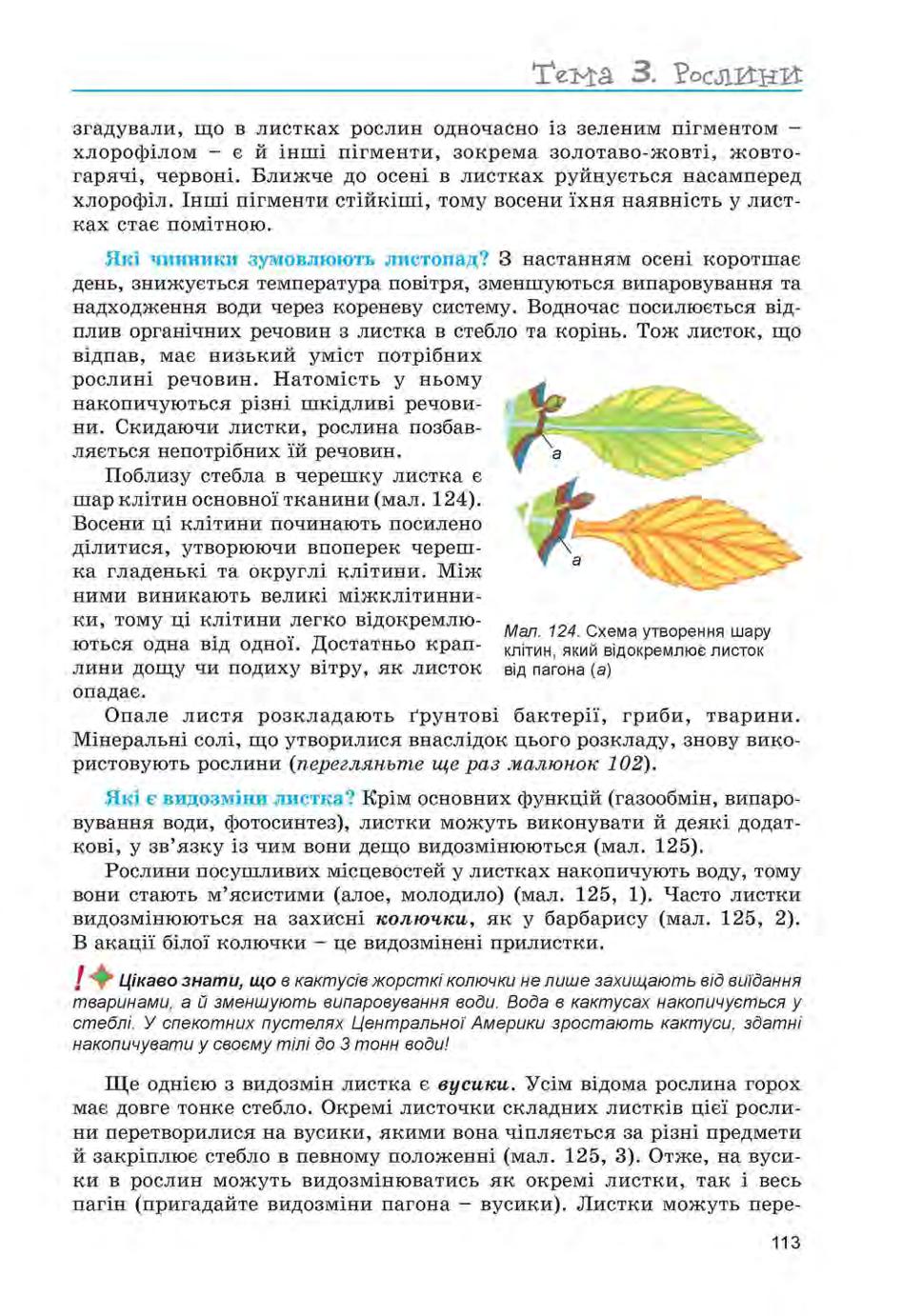 Мініатюра 113