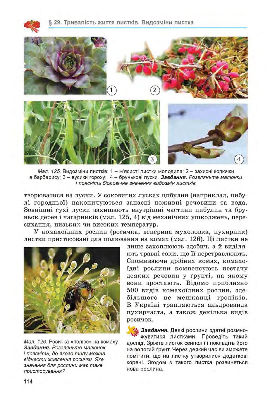 Мініатюра 114