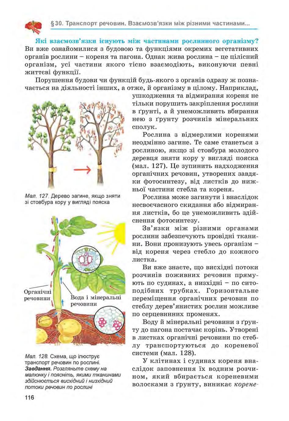 Мініатюра 116