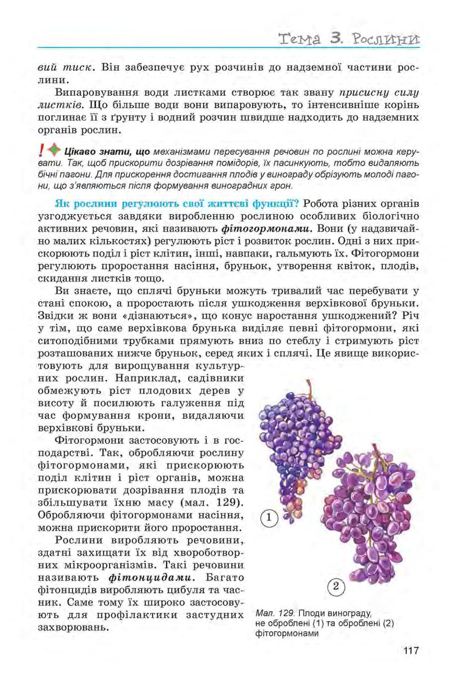 Мініатюра 117