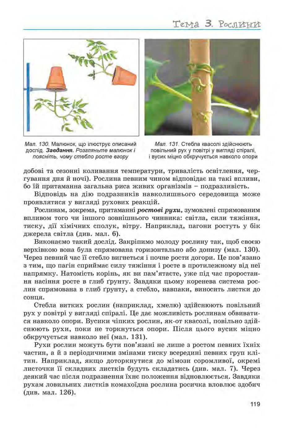 Мініатюра 119