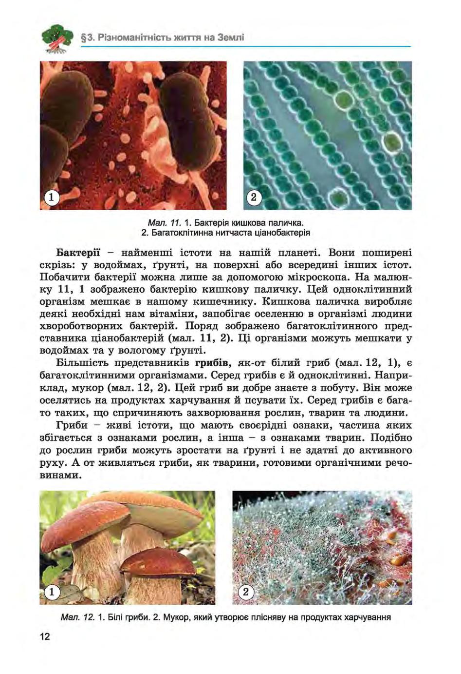 Мініатюра 12