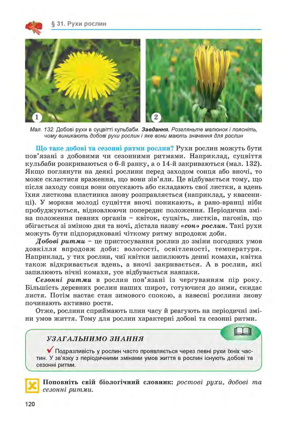 Мініатюра 120