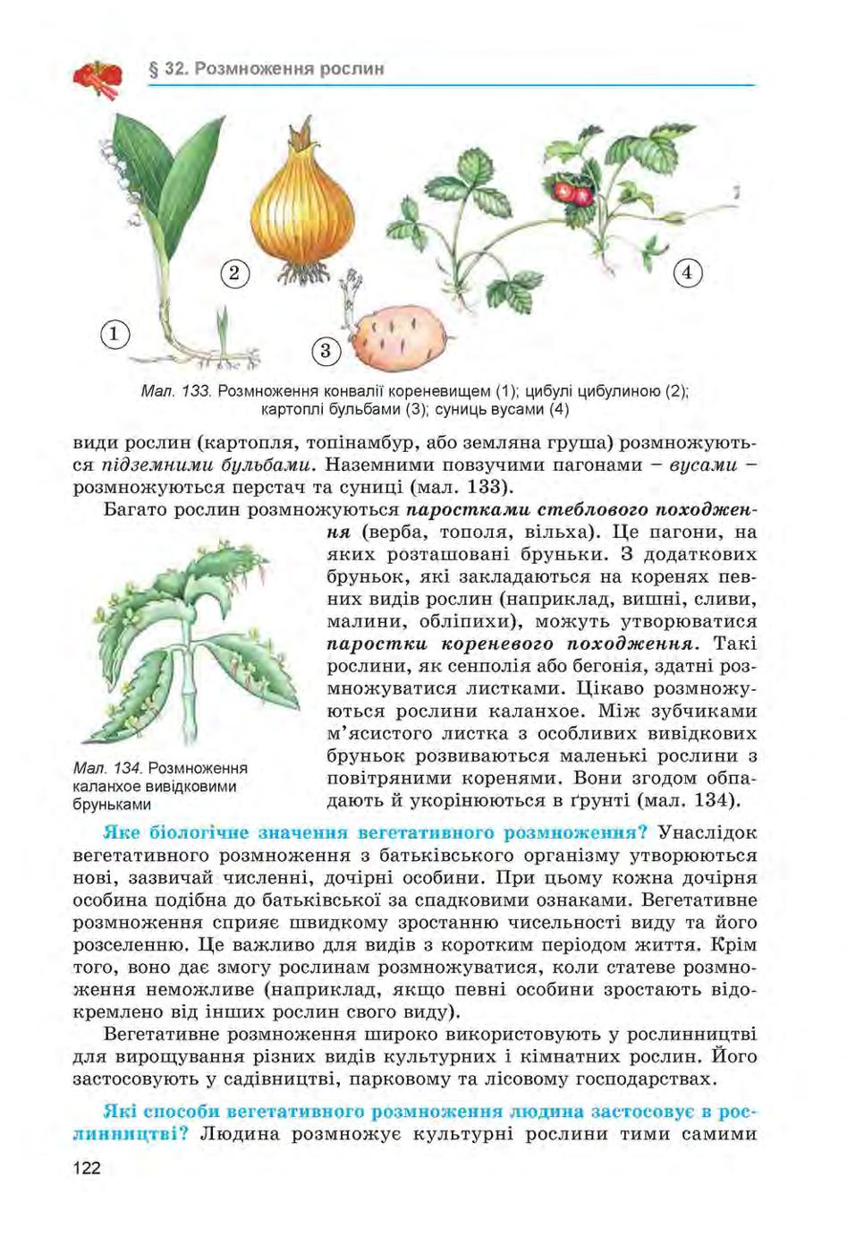 Мініатюра 122
